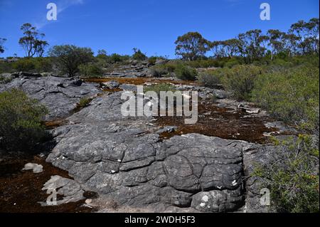 Sur le sentier vers les balcons dans le parc national des Grampians Banque D'Images