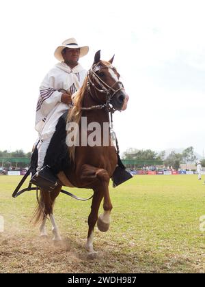 Mors De Cheval Péruvien - Allure Paso Fino - Sans Marque (Neuf)