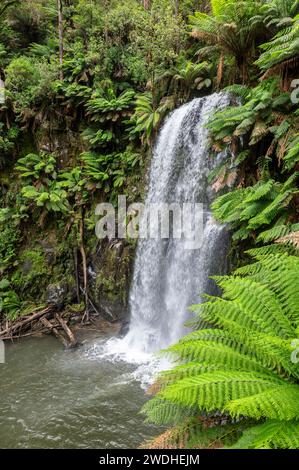 Chutes Beauchamp dans Otway Forest Park Banque D'Images