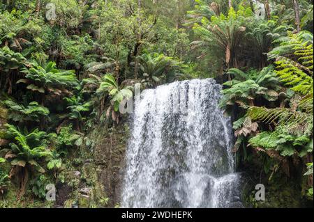 Chutes Beauchamp dans Otway Forest Park Banque D'Images