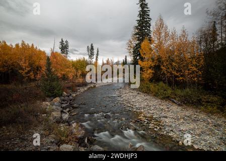 Photographie rustique Roots Banque D'Images