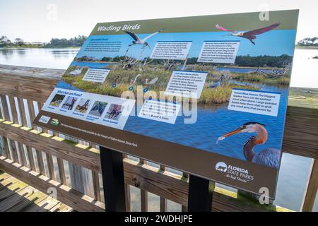 Station d'observation des oiseaux le long de la promenade Spoonbill Pond au parc d'État de Big Talbot Island le long de Florida A1A Scenic & Historic Coastal Byway. (ÉTATS-UNIS) Banque D'Images