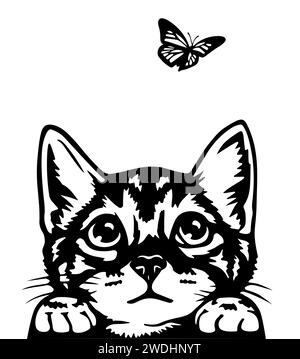 chat ludique avec ces yeux doux sur un papillon Banque D'Images