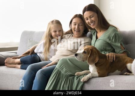 Mignon chien beagle adulte reposant sur la maison près de trois générations Banque D'Images