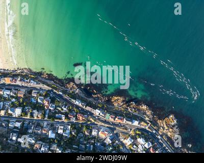 Sea Dog Weekluy surfski course à Fish Hoek, Afrique du Sud Banque D'Images