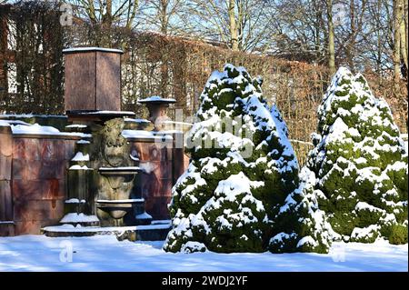 Winter im Schlosspark Lichtenwalde Lichtenwalde / Winterspaziergang im Barockschloss Lichtenwalde. Es ist eines der schönsten Barockschlösser en Sachsen. Von 1722 bis 1726 erbaut, ist es umgeben von einen prächtigen Garten mit über 100 Wasserspielen. Im Schloss gibt es verschiedene Museen und Ausstellungen zu besichtigen. Die Schlosskapelle wurde mit viel Aufwand restauriert und ist ausgestattet mit einer Donati-Orgel. Der Park ist auch im Winter geöffnet und bietet einen malerischen Blick über das Zschopautal. Seit 1999 erhielt das Schloss eine neue museale Nutzung. DAS im Eigentum des Freist Banque D'Images