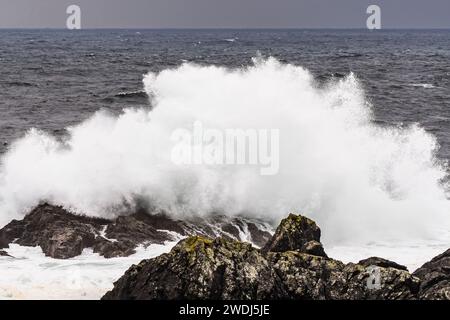 Brise surf à Amphitrite point, Ucluelet, Île de Vancouver, Colombie-Britannique, Canada Banque D'Images