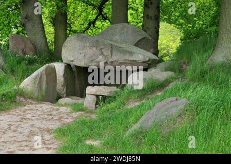 Tombe mégalithique sur Rügen près de Lancken-Granitz, Mer Baltique, Mecklenburg-Vorpommern, Allemagne Banque D'Images