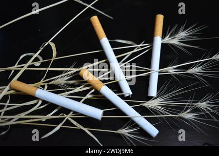 Beaucoup de cigarettes avec des oreilles d'herbe sèche sur un fond noir brillant Banque D'Images