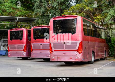 Bus touristiques rouges dans le parking, vue arrière sur fond d'un parc de la ville sur la destination finale de l'itinéraire. Banque D'Images