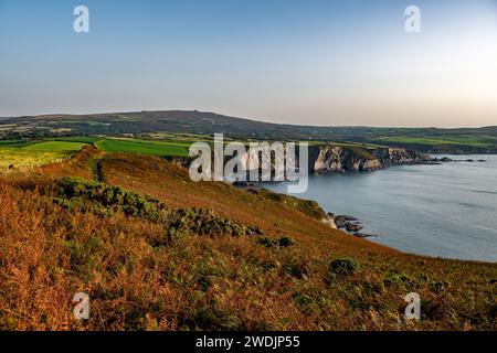 Sentier côtier sur la côte atlantique sauvage de Dinas Head dans le Pembrokeshire au pays de Galles, Royaume-Uni Banque D'Images