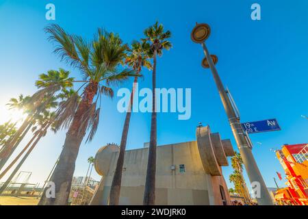 Palmier dans le célèbre muscle Beach au coucher du soleil. Californie, États-Unis Banque D'Images