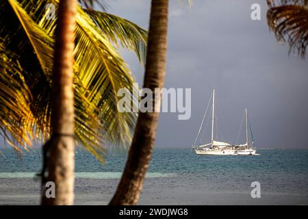 Belle île tropicale avec plage de sable blanc et palmiers entourée de récifs coralliens dans l'archipel de san blas au panama, bateaux à voile ancrés Banque D'Images
