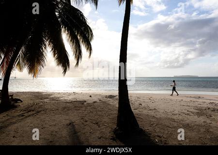 Belle île tropicale avec plage de sable blanc et palmiers entourée de récifs coralliens dans l'archipel de san blas au panama, homme marchant sur une plage Banque D'Images