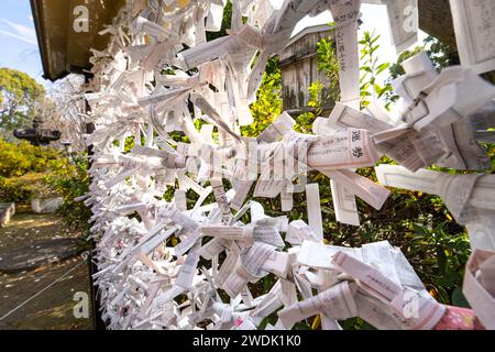 Tokyo, Japon. Janvier 2024. Les feuilles Omikuji qui prédisent son avenir nouées à l'extérieur du temple bouddhiste Kiyomizu Kannon-do dans le centre-ville Banque D'Images