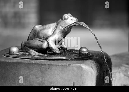 Détail métallique d'une fontaine sur la place du marché dans la ville de Torun, Pologne, monochrome Banque D'Images