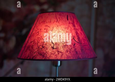 Décoration intérieure saisissante avec sol vintage rose lilas et lampes de table aux nuances sombres sur un mur rose dans un concept de décoration intérieure Banque D'Images