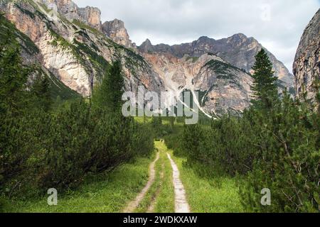 Vallée Val Travenanzes et chemin chemin de la paroi rocheuse à Tofane gruppe, Alpes Dolomites montagnes, parc national de Fanes, Italie Banque D'Images
