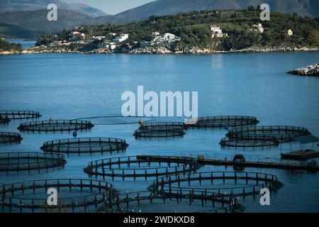 Vue des cages de ferme de poissons de mer et des filets de pêche, élevage dorado, dorade et bar, processus de nourrir le poisson un fourrage. Mer Ionienne, Grèce. Commer Banque D'Images