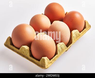 Six œufs bio bruns dans un plateau en carton sur fond blanc, symbolisant des produits frais et une alimentation saine. Banque D'Images