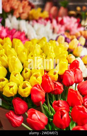 Bouquet coloré de tulipes jaunes et rouges en pleine floraison sur un marché aux fleurs vibrant. Banque D'Images