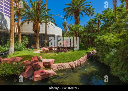 Vue sur le jardin avec des arbres tropicaux et un ruisseau artificiel, avec flamants roses debout dans l'étang près de la fontaine. Las Vegas. Banque D'Images