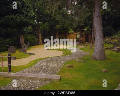 Jardin japonais à Vienne (à l'intérieur du jardin botanique) : érable japonais, petits pins topiaires, pierres de marche, mousse, petit ruisseau parmi les arbres Banque D'Images