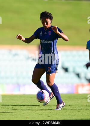 Lilyfield, Australie. 21 janvier 2024. Sarina Isabel Calpo Bolden des Jets de Newcastle est en action lors du match de la saison 13 de Liberty A-League 2023/24 entre le Sydney FC et les Jets de Newcastle qui s'est tenu au Leichhardt Oval de Lilyfield. Score final Sydney FC 2:1 Newcastle Jets. Crédit : SOPA Images Limited/Alamy Live News Banque D'Images