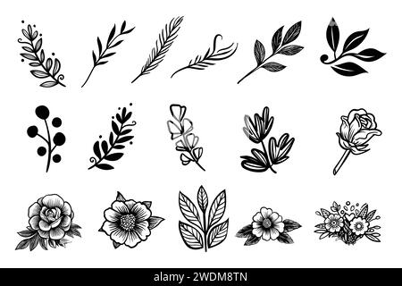 Fleurs linéaires simples et feuilles isolées sur blanc. Illustrations botaniques vectorielles dessinées à la main. Jolies fleurs et feuilles cliparts. Ensemble vectoriel de noir i Illustration de Vecteur