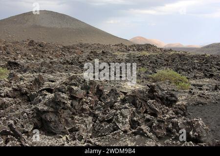 Vues de l'intérieur du parc national Timanfaya Lanzarote Îles Canaries. Lichen blanc au premier plan Banque D'Images