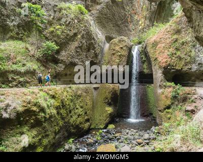 Vue de la cascade traversant le chemin à levada, canal d'irrigation de l'eau et plantes tropicales au sentier de randonnée Levada do moinho à levada nova cascade Banque D'Images