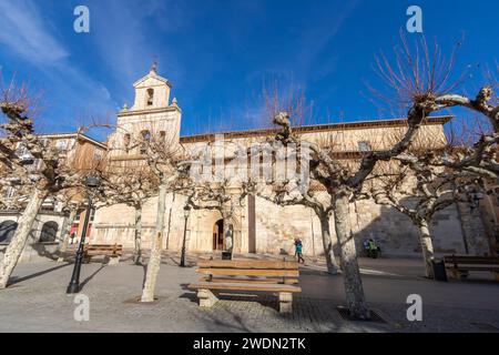 Église de San Martín de Tours dans la ville de Briviesca, province de Burgos, Espagne Banque D'Images