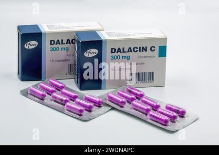Kiev, Ukraine - 24 octobre 2023 : boîte de capsules de clindamycine Dalacin C et blister par Pfizer closeup sur blanc. C'est un médicament antibiotique utilisé pour t Banque D'Images
