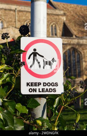 Garder les chiens sur les pistes Sign In Fenstanton, Cambridgeshire Banque D'Images