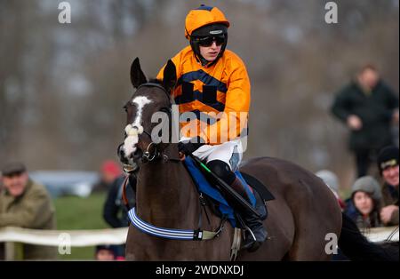 Caballo Diablo et le jockey Paddy Barlow (soies orange) remportent le Restricted au Heythrop Hunt P2P à Cocklebarrow. Crédit JTW Equine Images / Alamy. Banque D'Images