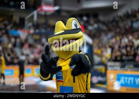 Ludwigsburg, Deutschland. 21 janvier 2024. Lurchi, GER, MHP Riesen Ludwigsburg vs Rasta Vechta, Basketball, Bundesliga, easycredit BBL, 17. Spieltag, Spielzeit 2023/2024, 21.01.2024, photo : Eibner-Pressefoto/Sascha Walther crédit : dpa/Alamy Live News Banque D'Images