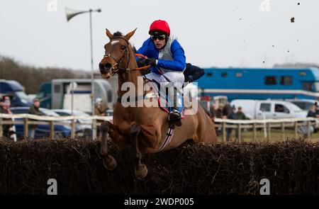 ThreeunderThree et H. Myddelton remportent la Maiden Race 4, 5 et 6ans au Heythrop Hunt P2P à Cocklebarrow. Crédit JTW Equine Images / Alamy. Banque D'Images