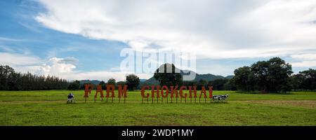 Chok Chai Farm, Khao Yai, Thaïlande - 2 juin 2019 : magnifique paysage magnifique à Chokchai Farm, Khao Yai, Thaïlande. - La ferme Chokchai est le plus grand da Banque D'Images