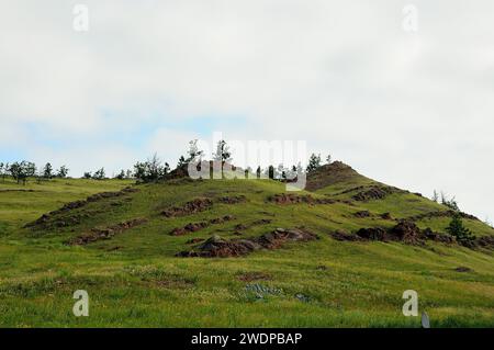 Une haute colline avec des rangées parallèles de formations rocheuses sur les pentes et quelques conifères au sommet sous un ciel nuageux paresseux. Khakassia, Sibérie, Russie Banque D'Images