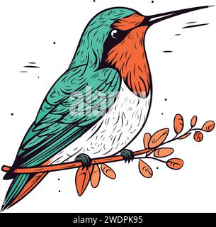 Hummingbird assis sur une branche. Illustration vectorielle dessinée à la main. Illustration de Vecteur