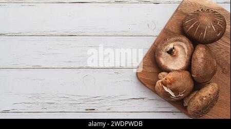 Shiitake sur le fond blanc Banque D'Images