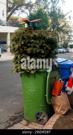 Un sapin de Noël à l'envers dans un bac à compost. Fin de la saison de Noël, élimination des arbres de Noël. Banque D'Images