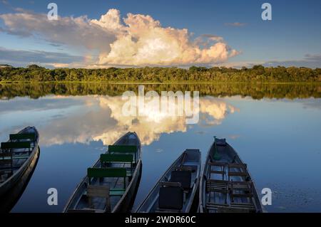 Amérique du Sud, Amazonie, Équateur, lac Anangurocha, Napo Wildlife Center, quai pour bateaux Banque D'Images