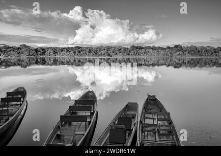 Amérique du Sud, Amazonie, Équateur, lac Anangurocha, Napo Wildlife Center, quai pour bateaux Banque D'Images