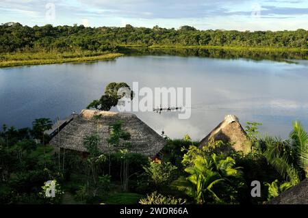 Amérique du Sud, Amazonie, Équateur, Parc National de Yasuni, Lac Anangurocha, Napo Wildlife Center, Banque D'Images