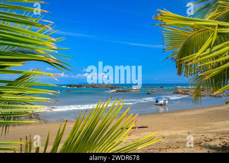 Amérique centrale, Costa Rica, péninsule d'Osa, Corcovado, Parc National, côte Pacifique Banque D'Images