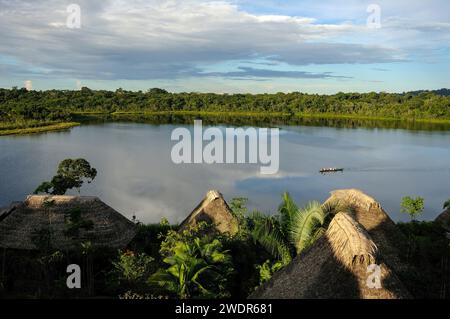 Amérique du Sud, Amazonie, Équateur, Parc National de Yasuni, Lac Anangurocha,, Napo Wildlife Center, Banque D'Images