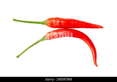 La vue de dessus des piments rouges frais est isolée sur fond blanc avec chemin de découpage. Banque D'Images