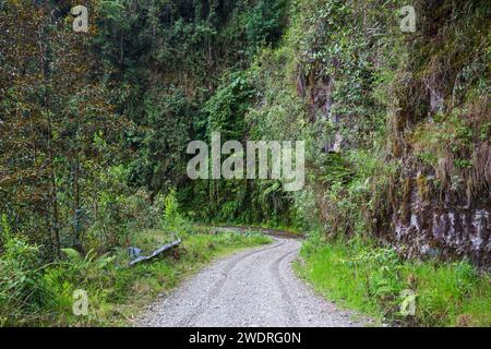 Célèbre route de la mort, le 'Camino de la Muerte', dans les Andes boliviennes près de la Paz Banque D'Images