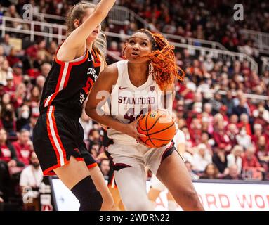 Stanford, Californie, États-Unis. 21 janvier 2024. A. l'attaquant de Stanford Kiki Iriafen (44) se dirige vers le cerceau pendant le match de basket-ball féminin de la NCAA entre les Beavers de l'Oregon et le Cardinal de Stanford. Stanford a battu Oregon State 65-56, alors que Tara VanDerveer devient entraîneur de basket-ball le plus gagnant de la NCAA avec 1 203 victoires au Maples Pavilion Stanford, CA. Thurman James /CSM/Alamy Live News Banque D'Images